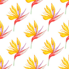 Fototapeta na wymiar Floral watercolor seamless pattern with yellow tropical flowers on a white background