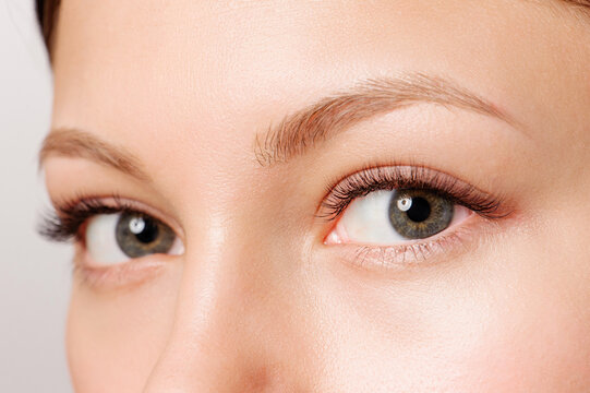Closeup shot of female eye with day makeup. Perfect eyelashes.
