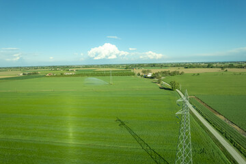 Rural field planted with garlic using hose reel system pumping water from canal. most widespread in...