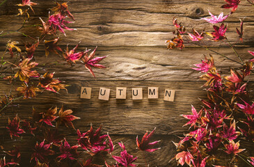 Autumn leaves. Fall red leaves on wood. Nature background