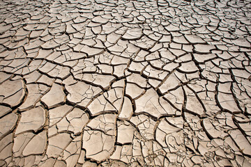 Texture of dry cracked earth. Dry climate