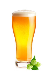 Goblet of fresh cold beer and organic hop with green leaves, isolated on white background.