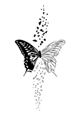 butterfly illustration black and white for black tattoo