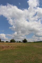 Fototapeta na wymiar A field with grass and trees