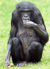 Discover amazing animals &ndash; from fluffy pets to wild wonders &ndash; all captured in their cutest and most majestic moments.