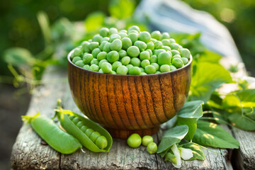 Fresh green peas in a bowl in the open air. Healthy food.