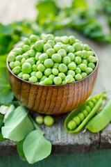 Fresh green peas. Organic diet and vegan food, Selective focus