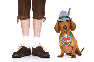bavarian dachshund or sausage  dog with  gingerbread with owner  isolated on white background ,...