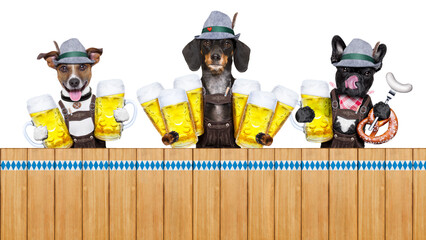 bavarian german row or group  of dogs with  pretzel, beer mug ,flag , sausage,  and gingerbread heart, isolated on white background , ready for the beer celebration festival in munich