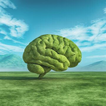 Conceptual image of a large tree in the shape of the human brain on a green field. This is a 3d render illustration.