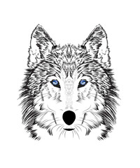 Blue eyes wolf for black tattoo illustration.