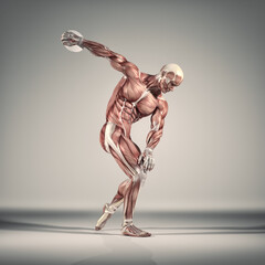 The sportman throwing disc. The  muscular system.  This is a 3d render illustration - obrazy, fototapety, plakaty
