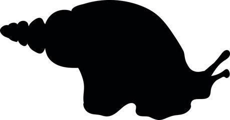 Black silhouette of  African land snail (Lissachatina fulica) isolated on white background	