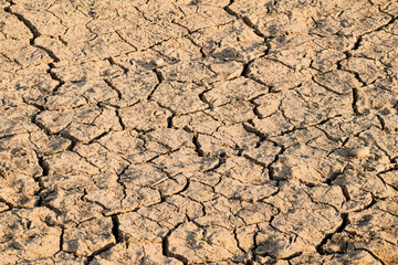 Dry  cracked soil picture, idea of climat change and global warming