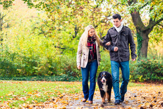 Woman and man with dog having autumn walk on a path covered with foliage
