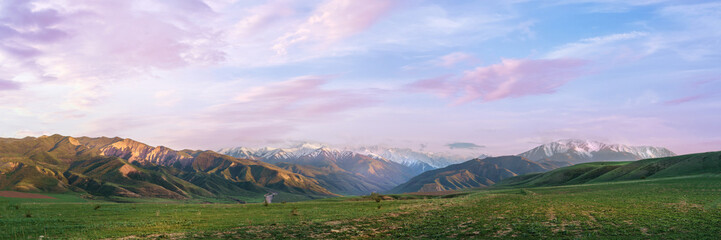 Steppe and mountains panoramic view under a pink sunset sky