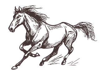 beautiful running horse doodle sketch