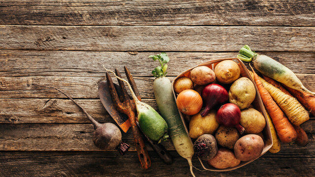 Fresh produce, potatoes, onions, beets, carrots. Healthy food background wiht copy space.