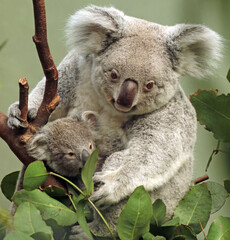 A Wildlife Photography Adventure