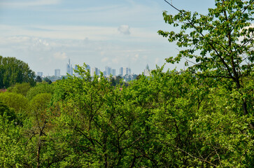 Obraz na płótnie Canvas Frankfurt skyline behind some green treetops under cloudy summer sky