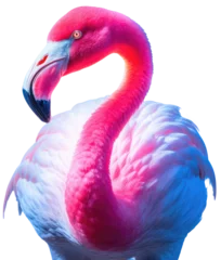 Gardinen Close up portrait of a flamingo in pink neon light colour isolated on white background as transparent PNG, generative AI © Flowal93