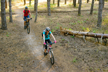 Naklejka na ściany i meble Young Couple Riding the Mountain Bikes in the Old Pine Forest. Adventure and Family Travel Concept.