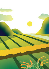 landscape with field and sun