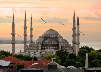 Fototapeta na wymiar Seagulls over Blue Mosque and Bosphorus in Istanbul, Turkey