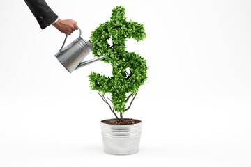 Concept of green economy. Businessman watering a plant shaped like dollar symbol. 3D Rendering.