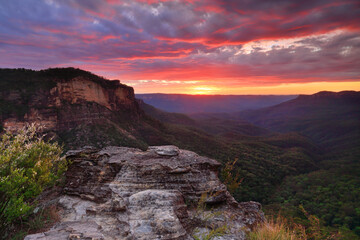 Fototapeta na wymiar Views over the Jamison Balley as the first light of the still unrisen sun lights up the sky. Location Blue Mountains, Australia