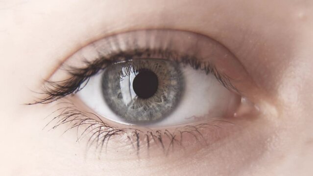 The right gray eye of a young woman. Healthy eyes. Good vision. Ophthalmology
