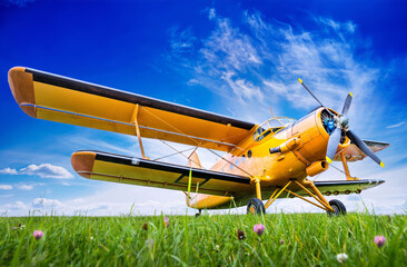 historic aircraft on a meadow against a blue sky
