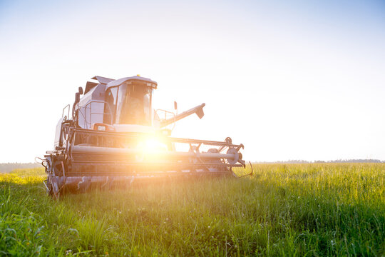 Photo of combine harvester in field at summer. Lensflare effect