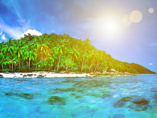 Obraz na płótnie Canvas Panorama of tropical island with atoll in Indian Ocean. Uninhabited and wild subtropical isle with palm trees. Blue clear ocean water. Nature landscape. Travel background. Holiday and Vacation concept