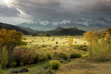 Autumn colors of Fall view of hay bales and trees in fields with San Juan Mountain range of Dallas...