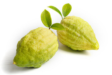 Jewish holiday of Sukkot. Traditional symbol Etrog (citron)