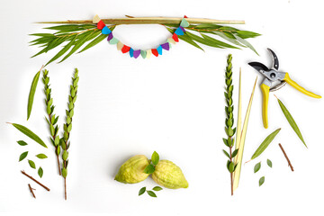 Jewish holiday of Sukkot. Traditional symbols  (citron), lulav (palm branch), hadas (myrtle), arava...
