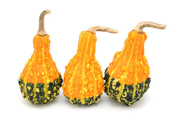 Three pear-shaped orange and green ornamental gourds with large warty lumps and bold stripes,...