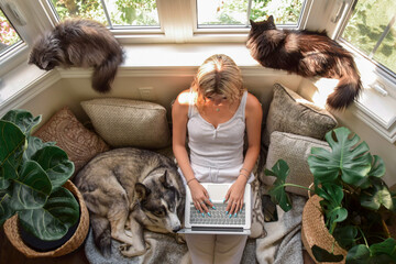 Young teenage girl sitting at bay window with pets using laptop computer - obrazy, fototapety, plakaty