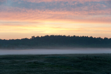 Orange sundown with trees ,fog ,and clouds