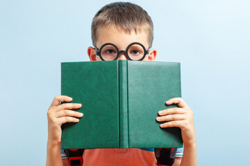 Positive elementary school nerd boy in eyeglasses holding open textbook