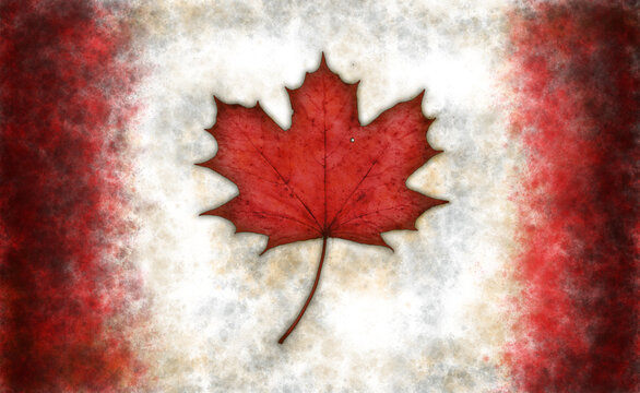 flag of canada with real maple leaf