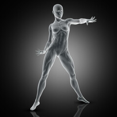 3D render of a muscular female in standing pose