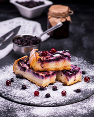 pieces of pie from cottage cheese and blueberries on a black background sprinkled with powdered sugar