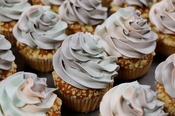 rainbow frosted vanilla flavored cupcake or muffin with sprinkles