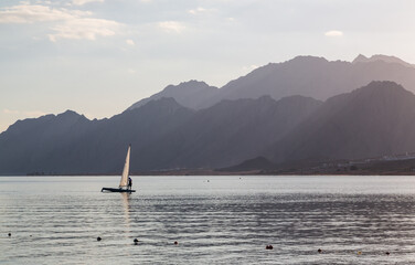 Naklejka premium Windsurfer ride in the Red Sea on the horizon in the background of pink and orange sky with clouds at sunset. Dahab, Egypt