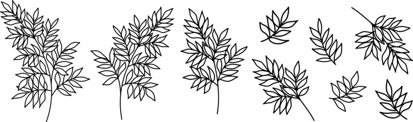 Set of leaves silhouette of beautiful plants, leaves, plant design. Vector illustration 