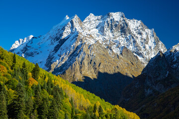 Fototapeta premium Mountains autumn.Mountain landscape. Trees with yellow foliage against the background of mountains and a blue sky with clouds.