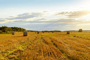 Scenic view of hay stacks on sunny day (Prince Edward Island, Canada)