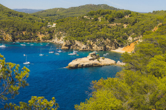 sea ​​landscape trees and palm trees in a sunny summer to enjoy the sun in the coves of france bandol